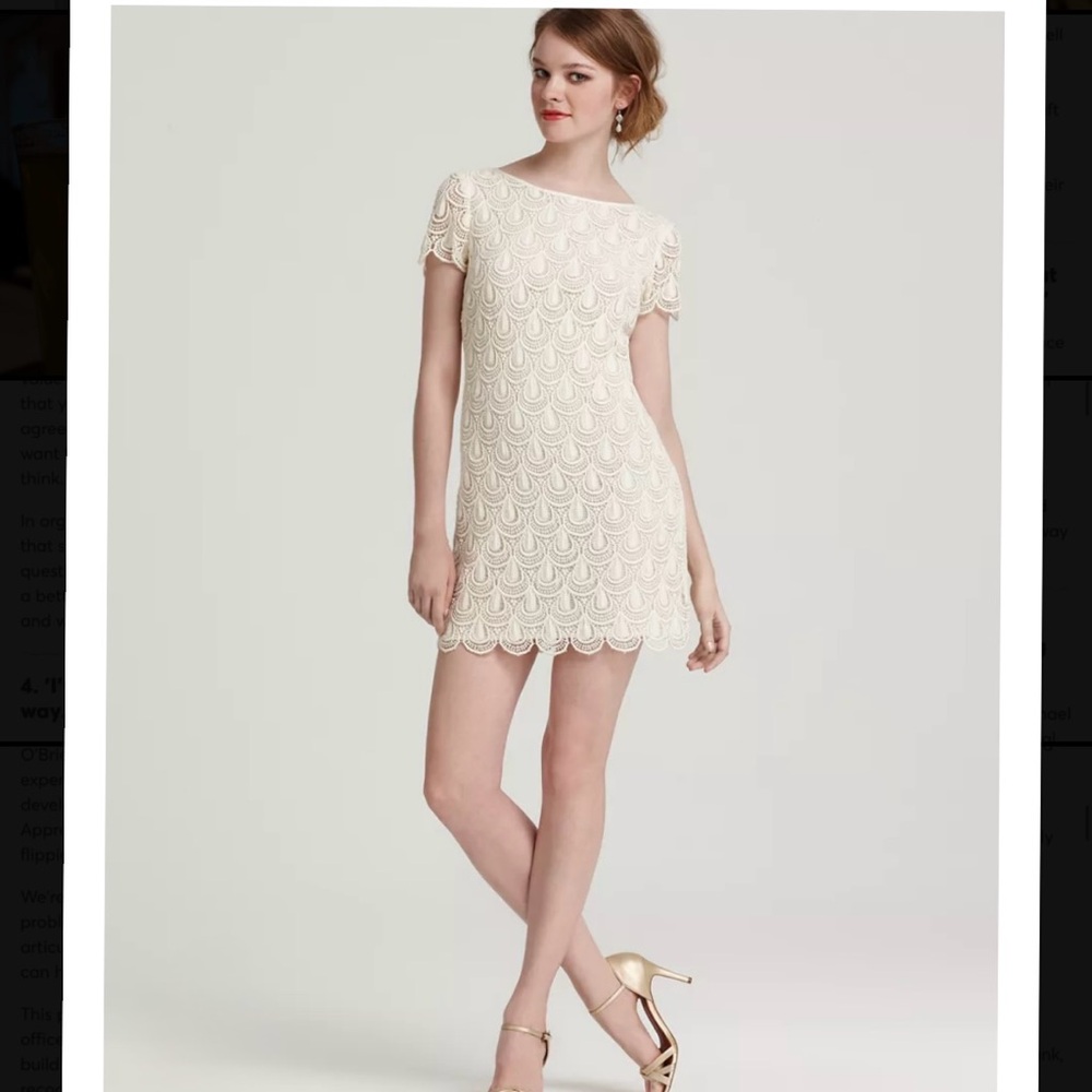 Cynthia Steffe Reese Lace Cap Sleeve Crochet Dress (10)